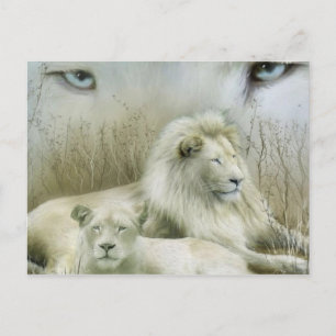 Carte Postale Deux lions au design d'art du repos