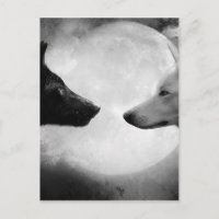 Deux loups se faisant face
