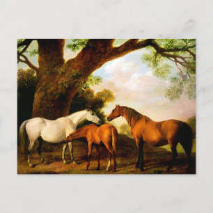 Carte Postale Deux mares shafto et un poulain par George Stubbs