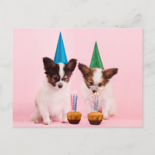 Carte Postale Deux mignons chiots /W Casquettes et bougies d'ann