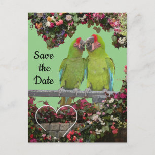 Carte Postale Deux Perroquets Vertes Poussent. Enregistrer la ca