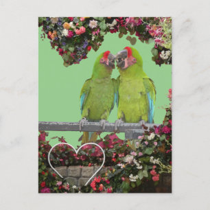 Carte Postale Deux perroquets verts Coeur de fleurs do-it-yourse
