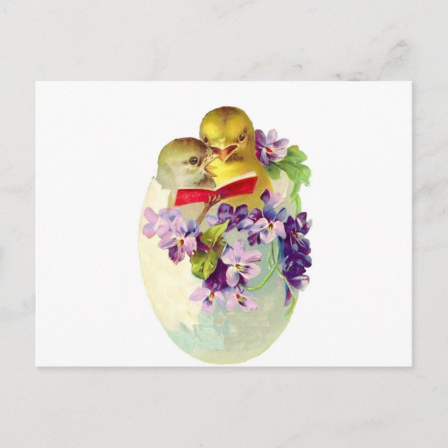 Carte Postale Deux poussins en oeuf Shell chantent du Songbook (Devant)