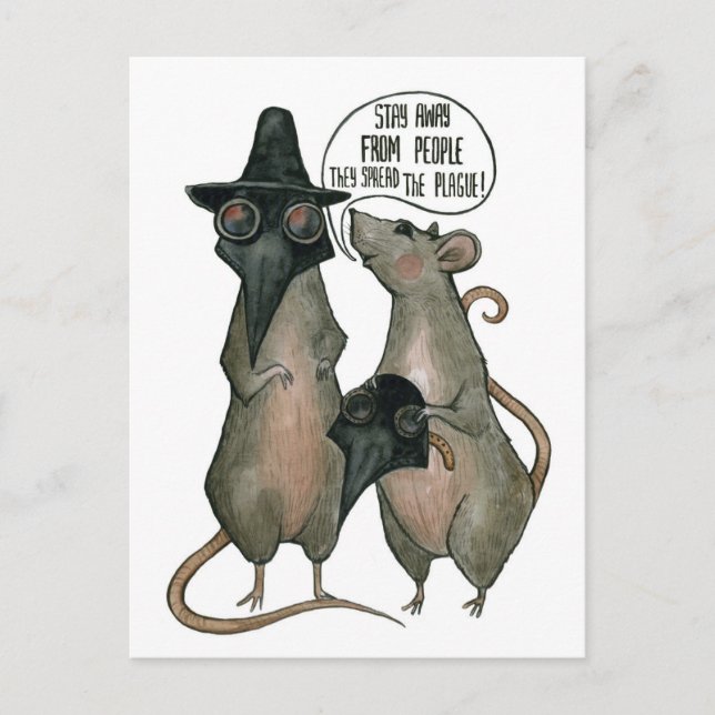 Carte Postale deux rats sauvages (Devant)