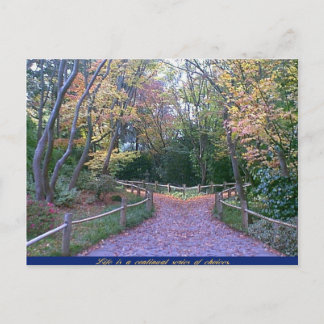 Carte Postale Deux routes