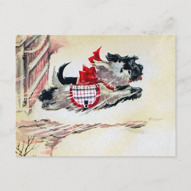 Carte Postale Deux Scotties (Devant)