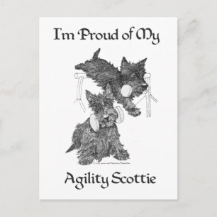 Carte Postale Deux Scottish Terriers Agilité