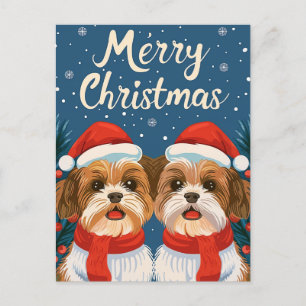 Carte Postale Deux Shi Tzu Joyeux Noël