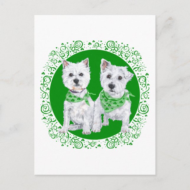 Carte Postale Deux Westies assis sur le Jour de la Saint Patrick (Devant)