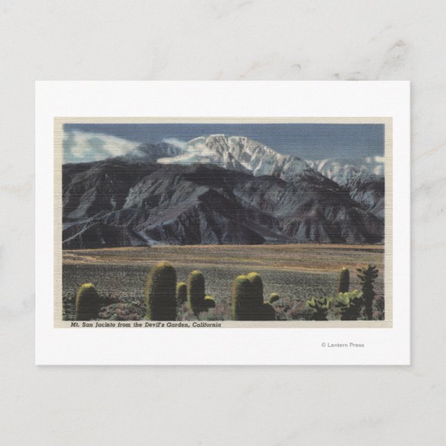 Carte Postale Devil's Garden Vue du Mont San Jacinto # 2 (Devant)