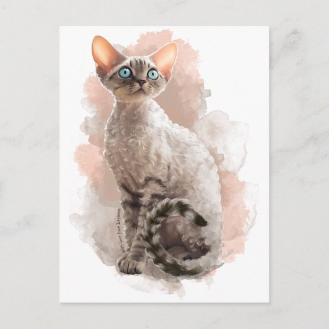 Carte Postale Devon Rex Sofi (Devant)