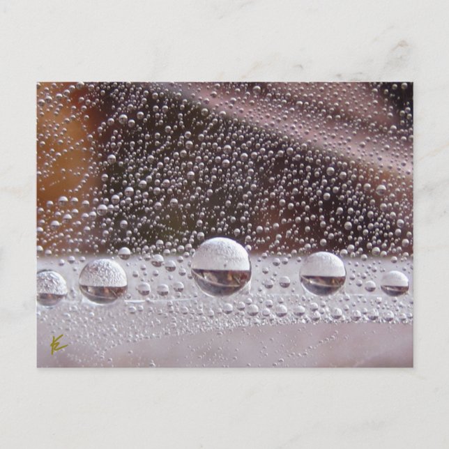 Carte Postale Dew Drop Méditation de la nature Yin Yang (Devant)