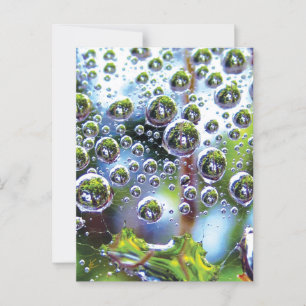 Carte Postale Dew Drops Cascade dans le ciel, Mémerisant Botaniq