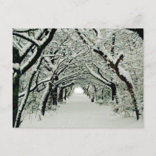 Carte postale d'hiver à Heaton Park