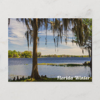 Carte postale d'hiver de Floride