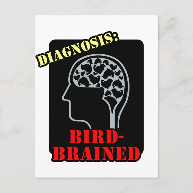 Carte Postale Diagnostic : Brainé par les oiseaux (Devant)