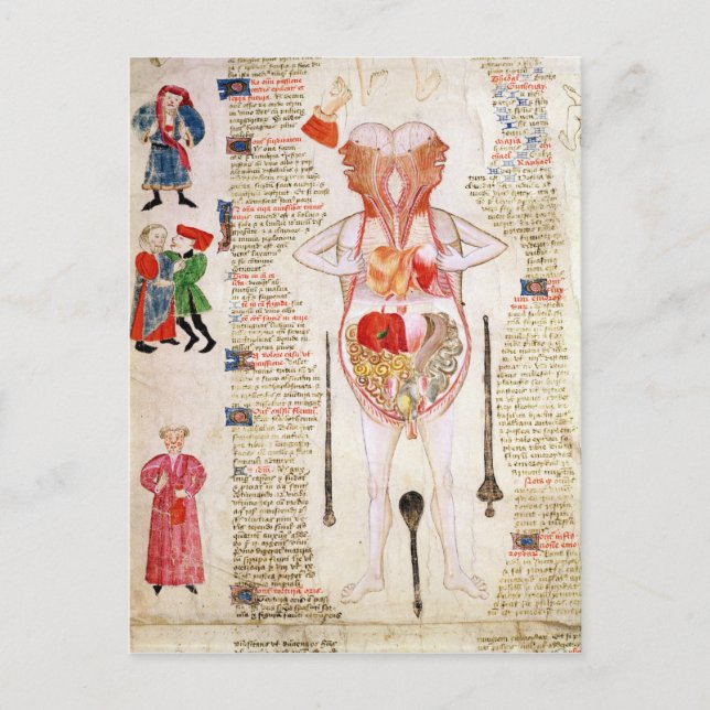 Carte Postale Diagramme anatomique (Devant)