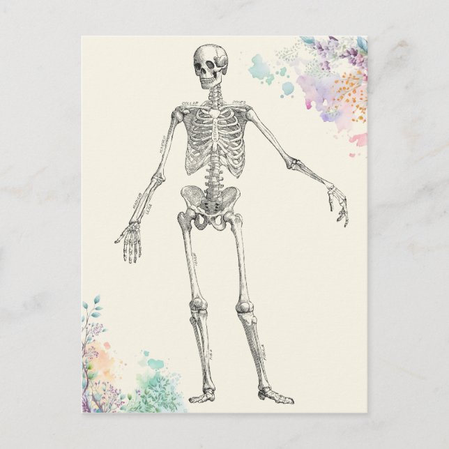 Carte Postale diagramme de fleur squelette de l'anatomie médical (Devant)