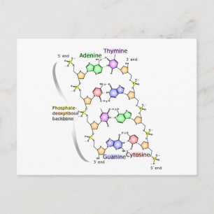 Carte postale Diagramme de la structure chimique d