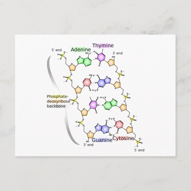 Carte postale Diagramme de la structure chimique d (Devant)