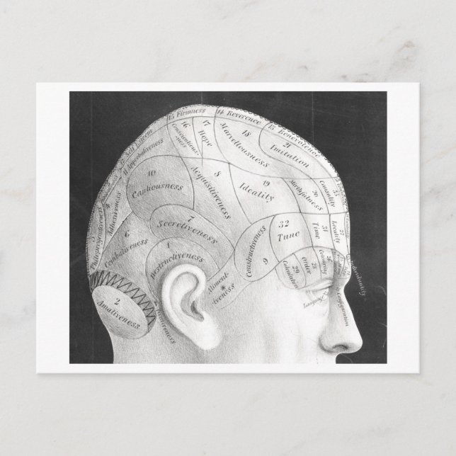 Carte postale Diagramme de Phrenologie vintage (Devant)