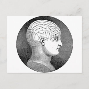 Carte Postale Diagramme de tête de Phrenologie d'Art Vintage