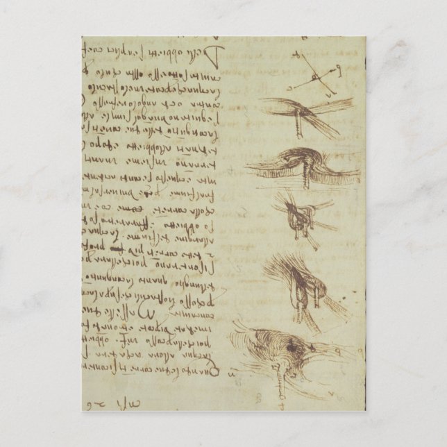 Carte Postale Diagrammes scientifiques (Devant)