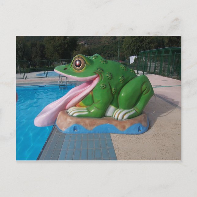 Carte Postale Diapositive italienne de grenouille (Devant)