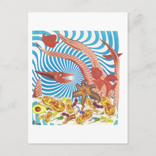 Carte Postale Dibble_Art29_Orange_Octopus (Devant)