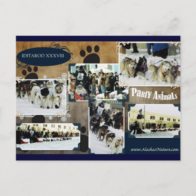 Carte postale d'Iditarod (Devant)