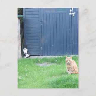 Carte Postale Die Wächter