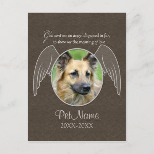 Carte Postale Dieu a envoyé un animal de compagnie Angel Sympath
