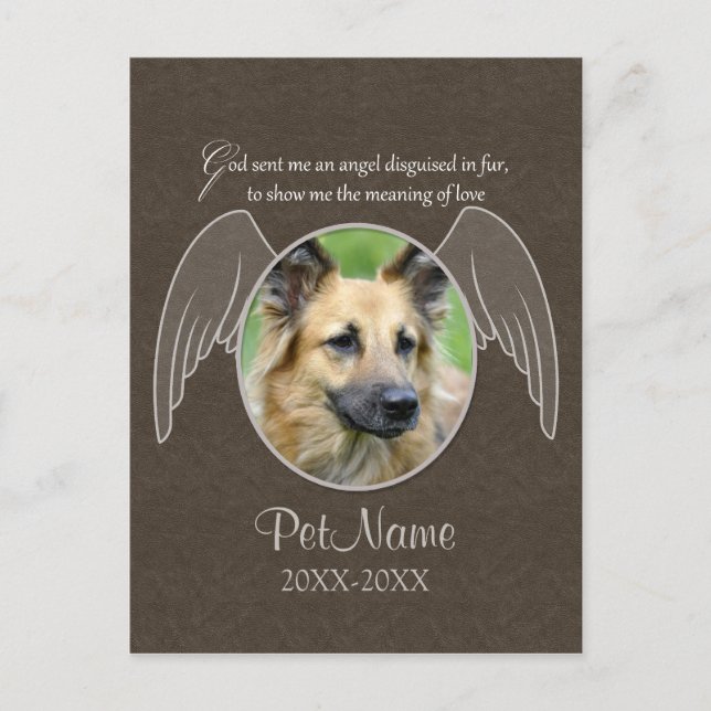 Carte Postale Dieu a envoyé un animal de compagnie Angel Sympath (Devant)