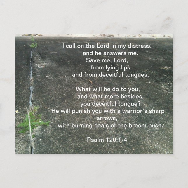 Carte Postale Dieu vous protège des menteurs (Devant)