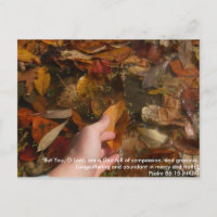 Digital Camera 491, "Mais vous, ô Seigneur, êtes u
