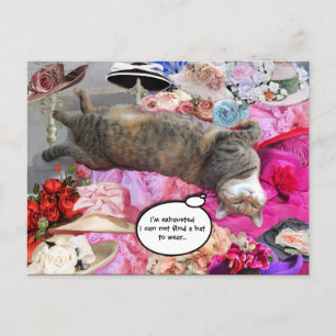 Carte Postale Dilemme de la princesse Tatus Cat