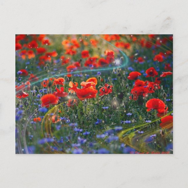 Carte postale d'illustration de Digitals (Devant)