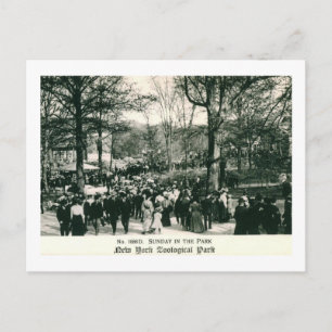 Carte Postale Dimanche au Bronx Zoo Vintage