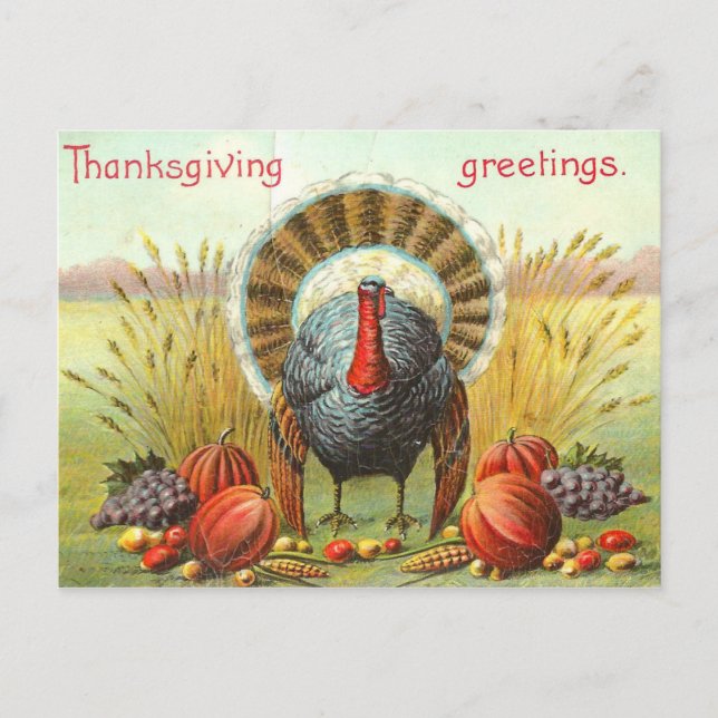 Carte Postale dinde bon thanksgiving Day avec citrouilles (Devant)