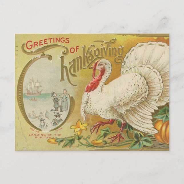 Carte Postale Dinde de Thanksgiving vintage (Devant)