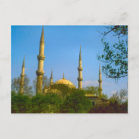 Dinde Turquie - Mosquée d'Istanbul
