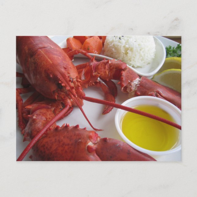 Carte Postale Dîner au homard (Devant)
