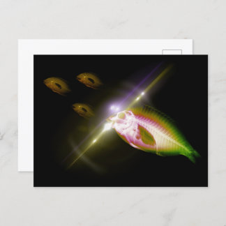 Carte Postale Dîner de chasse Poisson X-Ray 4