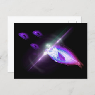 Carte Postale Dîner de chasse Poisson X-Ray 6