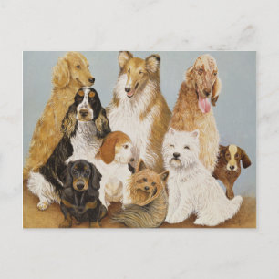 Carte Postale Dîner de chiens