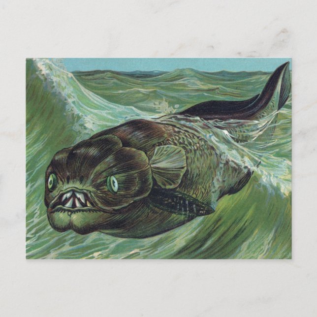 Carte Postale Dinicthys animal préhistorique (Devant)