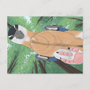 Carte postale Dinosaur - Dromaeopodus