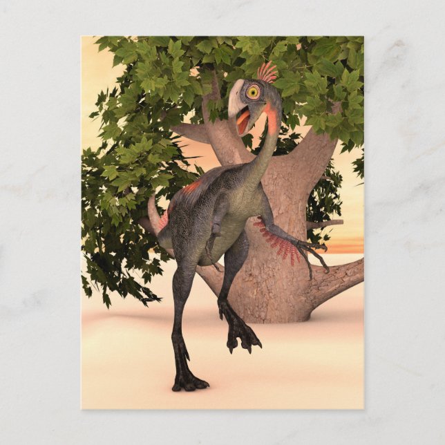 Carte Postale Dinosaur Gigantoraptor (Devant)