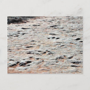 Carte Postale Dinosaure