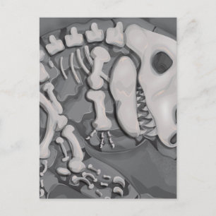 Carte Postale Dinosaure Fossil